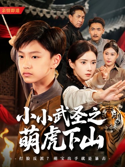 小小武圣之萌虎下山（62集） 高清完整版