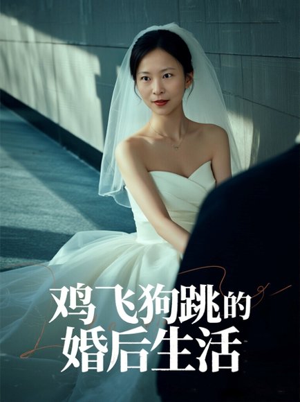 鸡飞狗跳的婚后生活（28集）曲海东＆杨静静 高清完整版