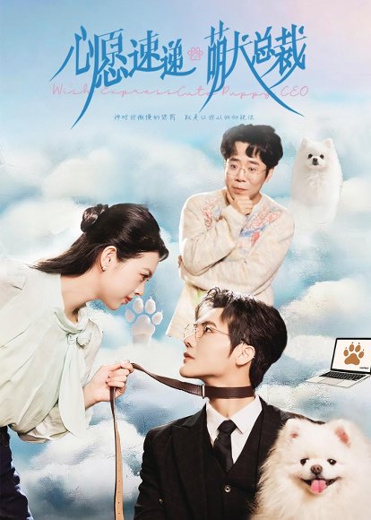 心愿速递之萌犬总裁（50集）蓝曦鹿＆蒋辰瑞 高清完整版